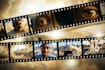 create ai video , ai ads and ai music video