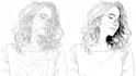 line drawing and vector line art illustration