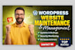 do wordpress website maintenance,website bug fix, wordpress website management