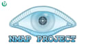 find and fix critical security vulnerabilities on your web