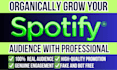 do spotify music promotion