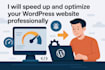 speed up and optimize your wordpress website professionally