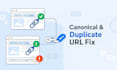 fix canonical tag issues and duplicate URL problems