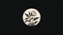 create a unique botanical hand drawn logo