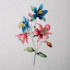 illustrate awesome botanical plants illustration