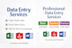 professional data entry expert