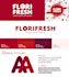 create a clear and modern brand style guide for your brand