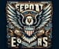 make high quality mascot t shirt eagle veteran logo
