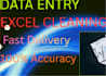 do fast data entry, excel cleaning and web research