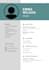 create a professional ats optimized resume or CV