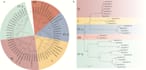 provide services involving in silico genome scale analysis