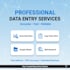 do professional data entry, copy paste and web research