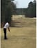provide you detailed golf instruction