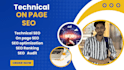 provide on page and technical seo website audits services
