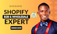 setup shopify b2b wholesale, professional wholesale area, b2b wholesale pricing