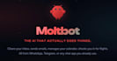 setup clawdbot or moltbot or openclaw