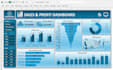 do excel data analysis, reports and dashboards