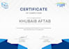 be your data analyst