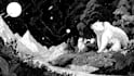 draw black and white illustrations
