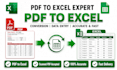 excel data cleaning, data cleanup and convert PDF to excel
