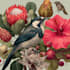 illustrate best botanical illustration