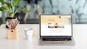 build a professional wordpress website, one pager, webshop