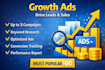 generate paid traffic using  google ads