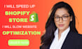fix slow website speed shopify store optimization performance speed expert