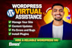 be your wordpress virtual assistance, wordpress VA, consultant and helper