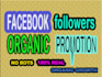 grow your facebook insta tiktok page following fast