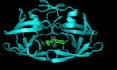 do molecular docking and molecular dynamics simulations