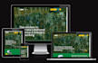 design or redesign wordpress website with elementor pro