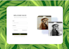 build secure and responsive websites