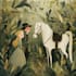 draw fairy tale illustrations for your concept