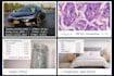 build machine learning and deep learning solutions in python