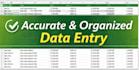 do professional excel data entry and web research