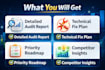 provide advanced SEO audit and a clear actionable report