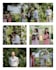 be your professional photographer wedding in bali