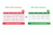 do excel data cleaning, formatting, and data cleanup
