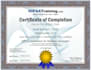 be expert medical biller for all medical billing services