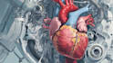 draw professional medical illustrations
