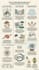 design professional infographics and data visualization