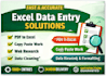 do professional excel data entry and data cleaning