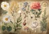 design botanical illustration art for you