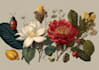 best botanical illustration art