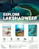 create eye catching posters, edit content, and write scripts
