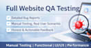 do professional website testing