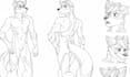 draw furry reference sheet, nsfw furry art, fursona character and anthro art
