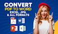 convert PDF to excel, word and retype or recreate scanned pages
