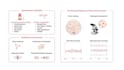 design scientific illustration, scientific figure, and graphical abstracts